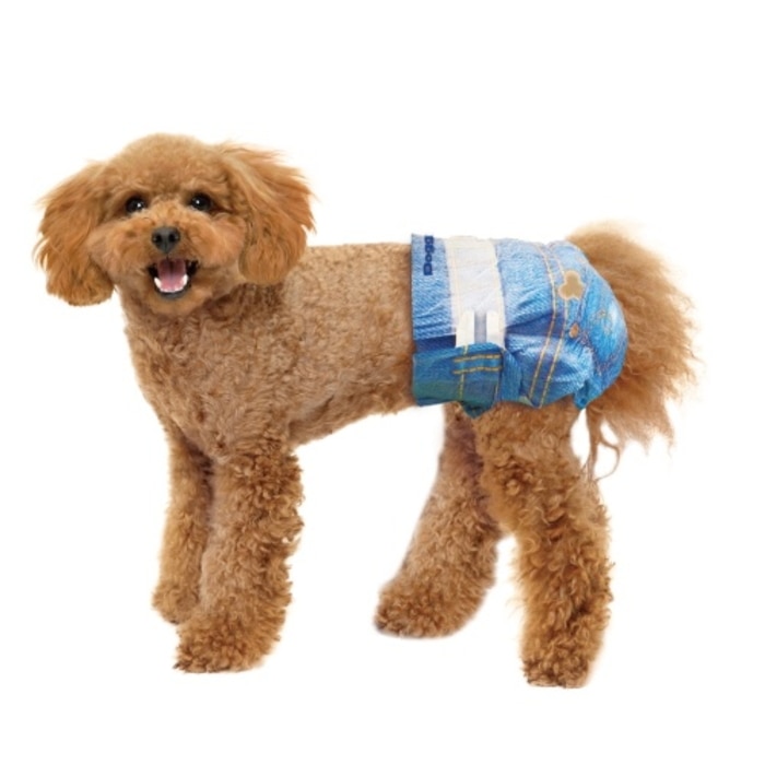 [取寄10][まとめ買い]【6個セット】ジーンズ風パンツM [4976555850659]