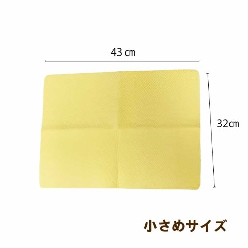 [取寄10][まとめ買い]【10個セット】ペット用PVAボディタオル [4589458485868]