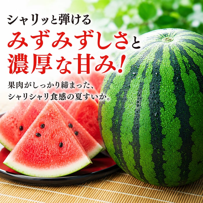 [予約直送]長野県産 波田すいか 羅皇 ザ・スウィート 3L 1玉 【綿半お中元】【7月後半～8月中旬順次発送】【配送指定日不可】