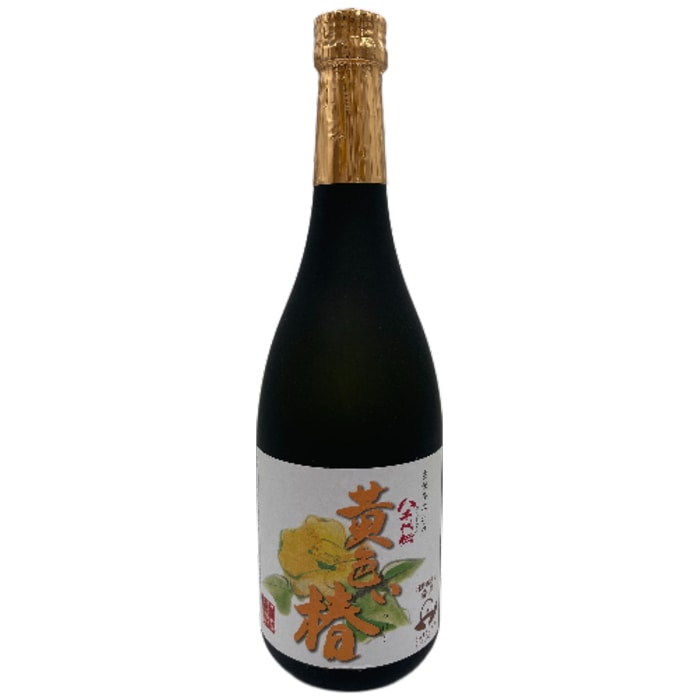 2本セット(八千代伝酒造 黄色い椿 安納芋仕込み 25度 720ml)
