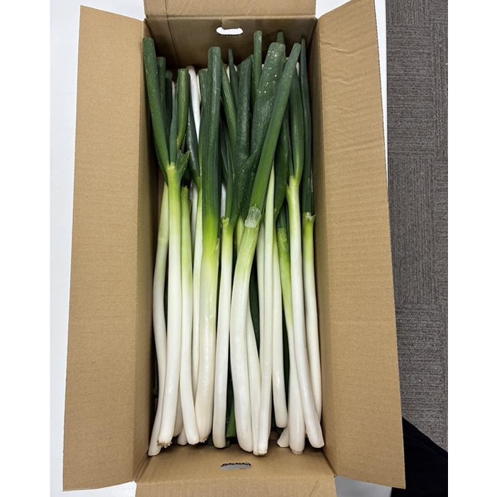 [直送10]小林ネギ園 新幸福ネギ 訳あり 5kg 【配送指定日不可】