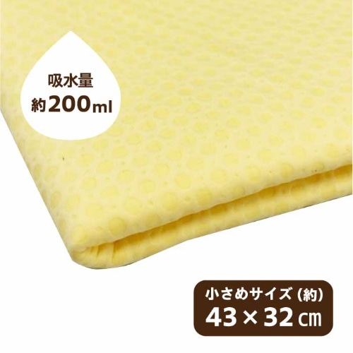 [取寄10][まとめ買い]【10個セット】ペット用PVAボディタオル [4589458485868]