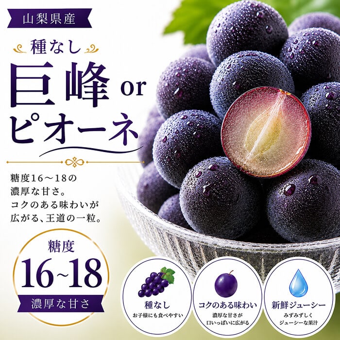 [予約直送]山梨県産 3色ぶどう(緑・赤・黒) シャインマスカット 富士の輝き サニードルチェ 種無し巨峰 ピオーネ等 (品種指定不可) 【綿半お中元】【7月後半～8月中旬順次発送】【配送指定日不可】