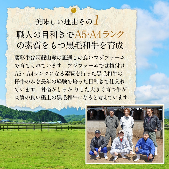 [冷凍][直送5]A5-A4 藤彩牛 サーロインステーキ 200g×2枚セット 送料無料 2526