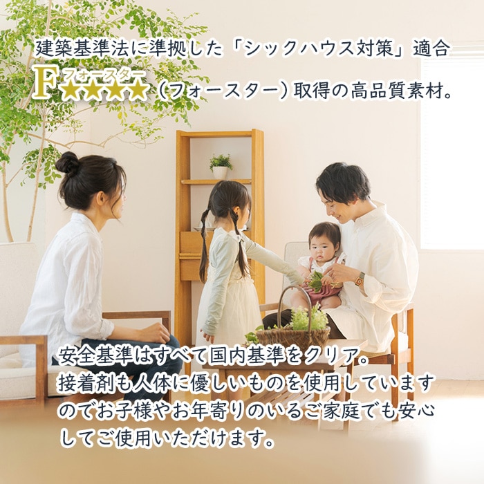 隙間収納棚 日本製 冷蔵庫横ハイタイプ 奥行46cm (幅15~20cm、高さ178cm~200cm)