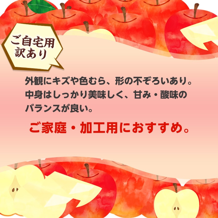 [直送商品]送料無料 長野県志賀高原産 サンふじりんご 自家用 10kg 26～40玉 【配送指定日不可】