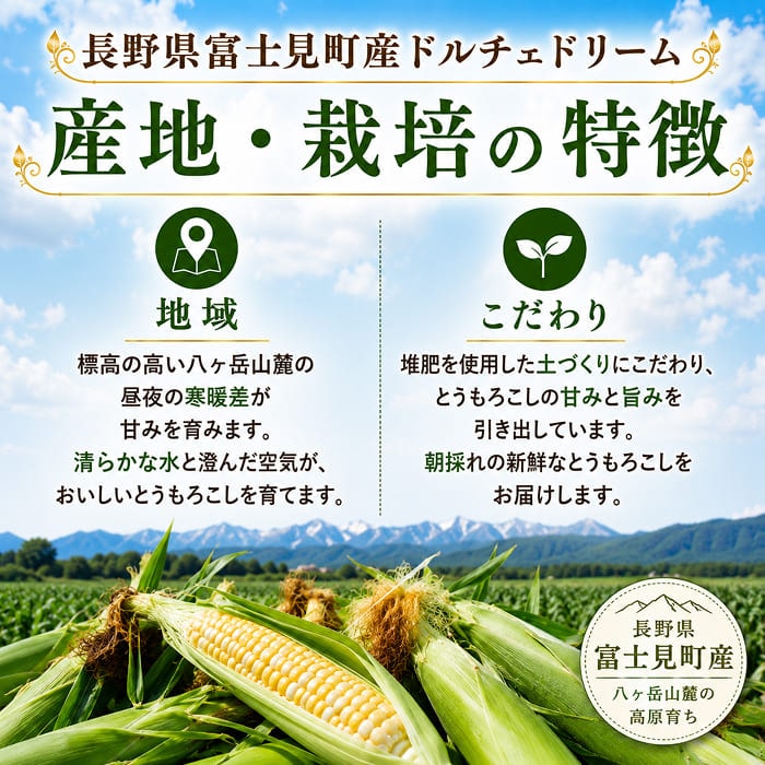 [冷蔵][予約直送]長野県 富士見町産 とうもろこし ドルチェドリーム 2L×10本 【綿半お中元】【7月後半～8月中旬順次発送】【配送指定日不可】