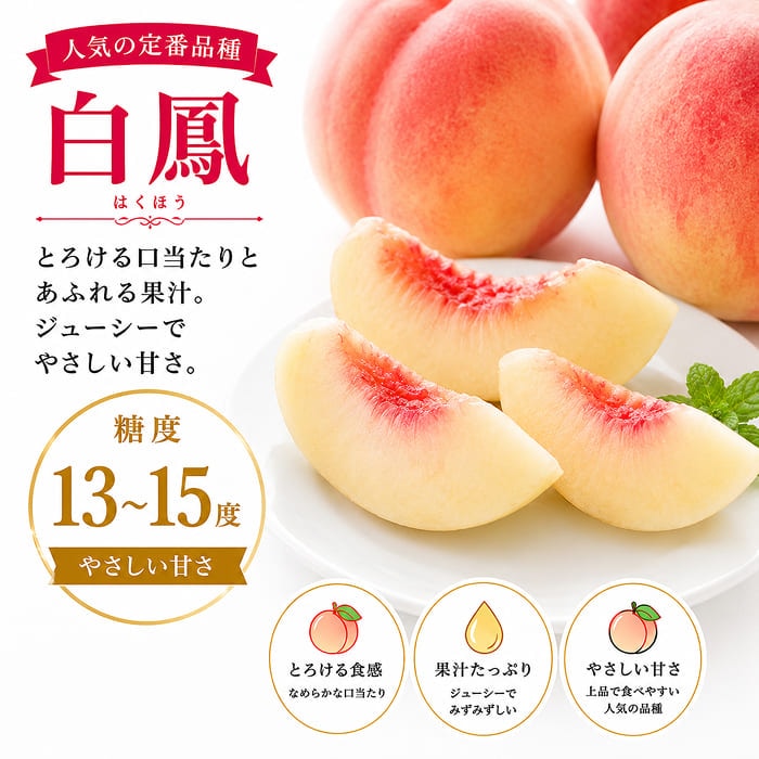 [予約直送]山梨県産 もも4玉 シャインマスカット1房 詰め合わせセット 送料無料 【綿半お中元】【7月後半～8月中旬順次発送】【配送指定日不可】