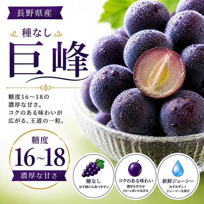 [予約直送]長野県産 シャインマスカット 種無し巨峰ぶどう 各1房 詰め合わせセット 送料無料 【綿半お中元】【7月後半～8月中旬順次発送】【配送指定日不可】
