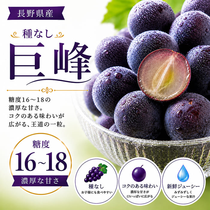 [予約直送]長野県産ぶどう詰め合わせ 種無し巨峰ぶどう・シャインマスカット・クイーンルージュ 秀3房 約1.5kg 【綿半秋の果物】【9月下旬～10月下旬順次発送】【配送指定日不可】