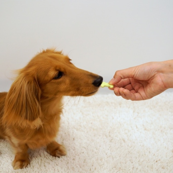 [取寄10][まとめ買い]【10個セット】DSV野菜入り低脂肪プチビスケット [4976555821147]