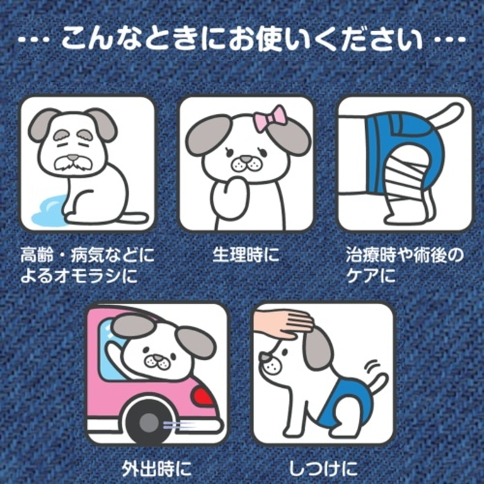 [取寄10][まとめ買い]【6個セット】ジーンズ風パンツLL [4976555850673]