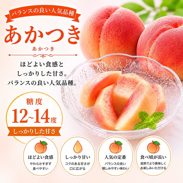 [予約直送]長野県 志賀高原産 もも 特秀 約5kg 12～16玉 送料無料 【綿半お中元】【7月後半～8月中旬順次発送】【配送指定日不可】