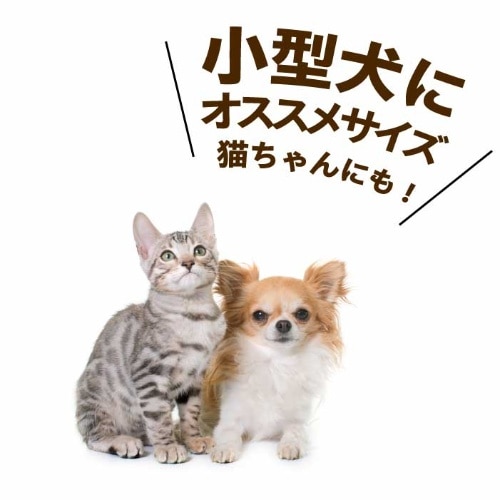 [取寄10][まとめ買い]【10個セット】ペット用PVAボディタオル [4589458485868]