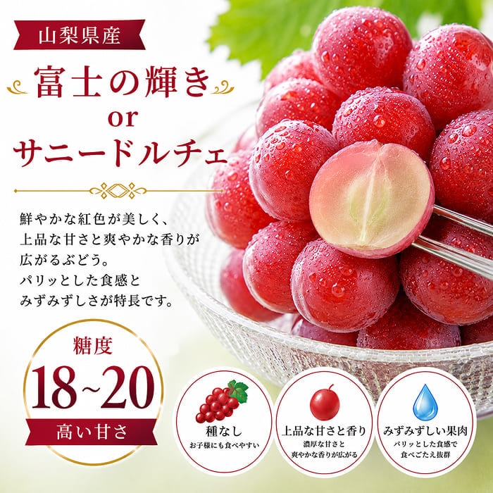 [予約直送]山梨県産 3色ぶどう(緑・赤・黒) シャインマスカット 富士の輝き サニードルチェ 種無し巨峰 ピオーネ等 (品種指定不可) 【綿半お中元】【7月後半～8月中旬順次発送】【配送指定日不可】