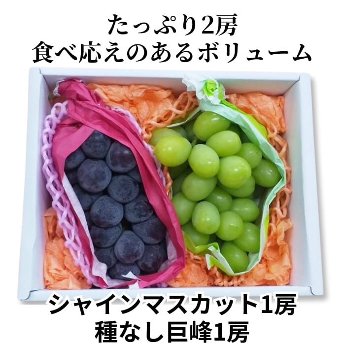 [予約直送]長野県産ぶどう詰め合わせ 種無し巨峰ぶどう・シャインマスカット 秀2房 約1kg 【綿半秋の果物】【9月下旬～10月下旬順次発送】【配送指定日不可】