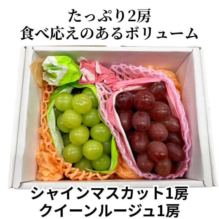 [予約直送]長野県産ぶどう詰め合わせ シャインマスカット・クイーンルージュ 秀2房 約1kg 【綿半秋の果物】【9月下旬～10月下旬順次発送】【配送指定日不可】