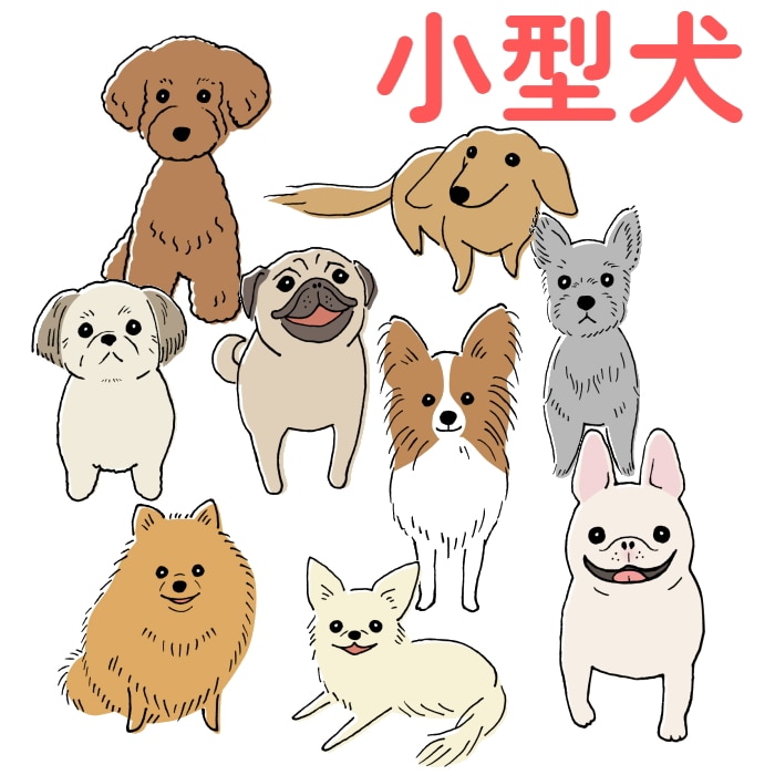 [取寄10][まとめ買い]【6個セット】小諸動物病院 やわらかデンタルガムクロロ 30本 [4589458485981]