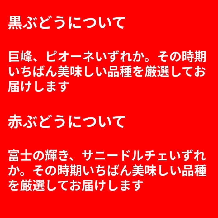 [予約直送]山梨県産 3色ぶどう(緑・赤・黒) シャインマスカット 富士の輝き サニードルチェ 種無し巨峰 ピオーネ等 (品種指定不可) 【綿半お中元】【7月後半～8月中旬順次発送】【配送指定日不可】