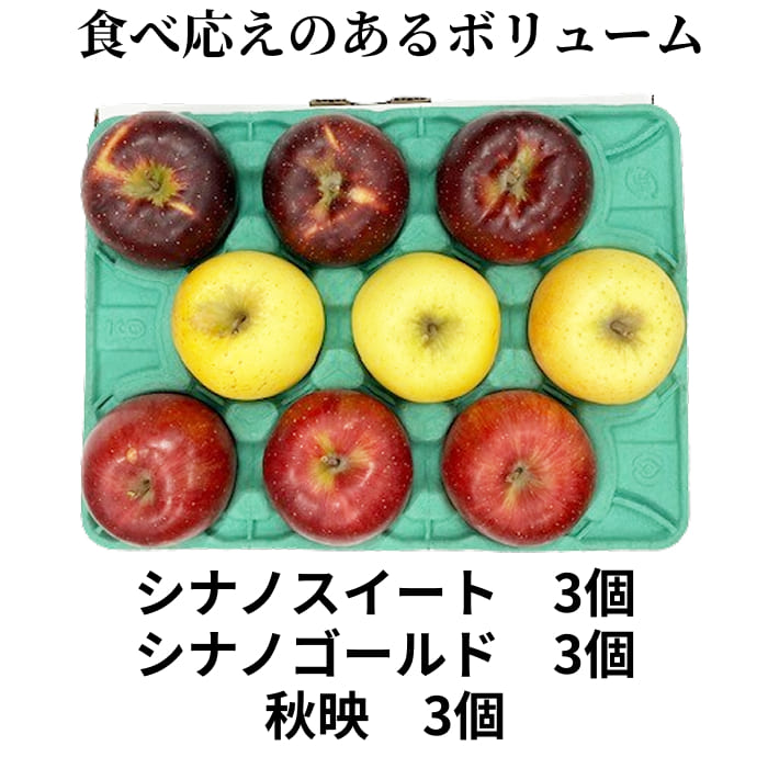 [予約直送]長野県産りんご３兄弟 秋映・シナノスイート・シナノゴールド 9玉 約2.5kg 【綿半秋の果物】【10月下旬～11月中旬順次発送】【配送指定日不可】