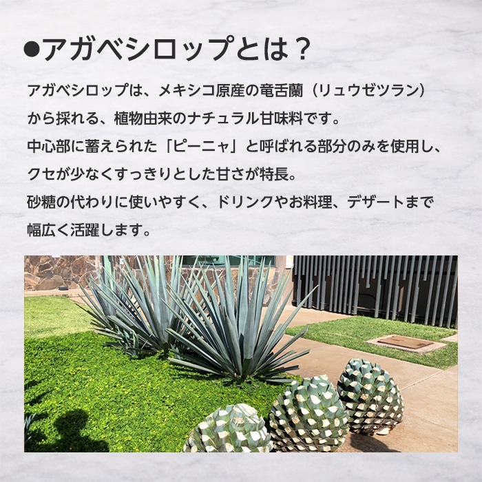 アガベシロップ330g [1本][4589458475708]