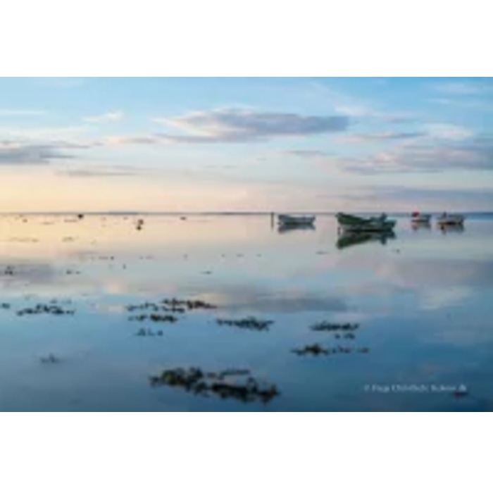 エーロ シングルモルトウイスキー 500ml 箱付