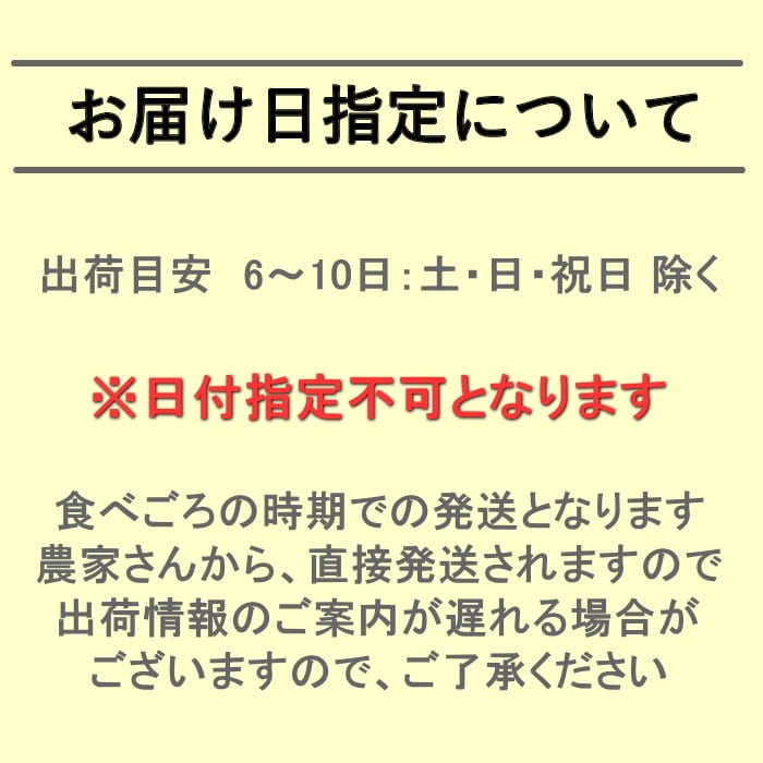 [直送商品]送料無料 長野県志賀高原産 サンふじりんご 自家用 10kg 26～40玉 【配送指定日不可】