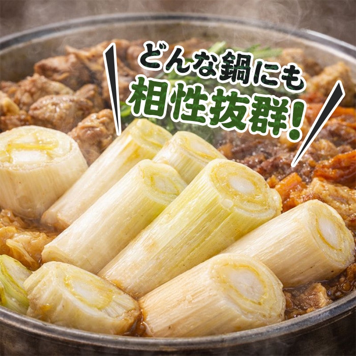 [直送10]小林ネギ園 新幸福ネギ 訳あり 5kg 【配送指定日不可】