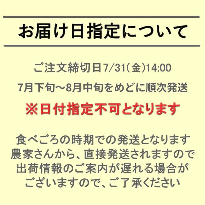 [冷蔵][予約直送]長野県 富士見町産 とうもろこし ドルチェドリーム 2L×10本 【綿半お中元】【7月後半～8月中旬順次発送】【配送指定日不可】