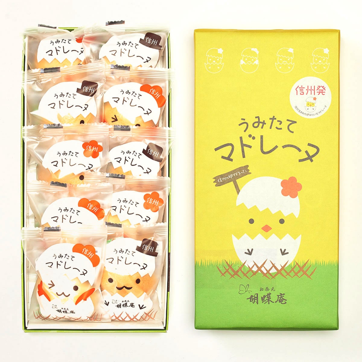 うみたてマドレーヌ　10個