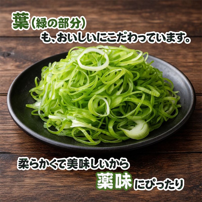 [直送10]小林ネギ園 新幸福ネギ 訳あり 5kg 【配送指定日不可】
