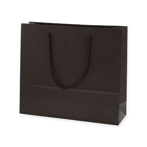 カラー手提袋 3才 ブラウン [1枚]