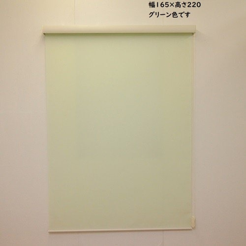 RSエクシヴ 無地 165×220 グリーン L3517 グリーン