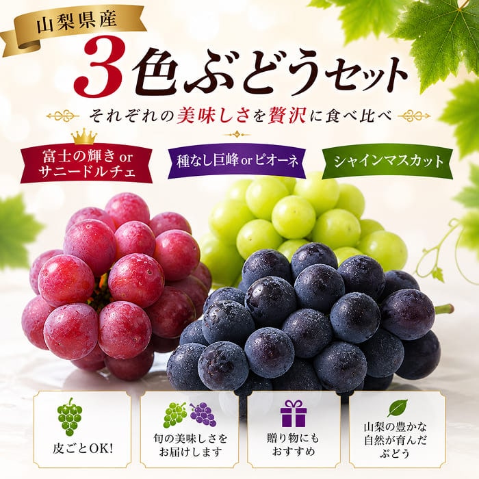 [予約直送]山梨県産 3色ぶどう(緑・赤・黒) シャインマスカット 富士の輝き サニードルチェ 種無し巨峰 ピオーネ等 (品種指定不可) 【綿半お中元】【7月後半～8月中旬順次発送】【配送指定日不可】