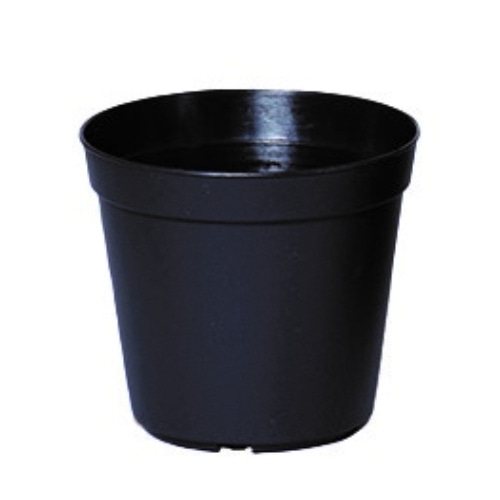 N－40 ブラック [1ポット]