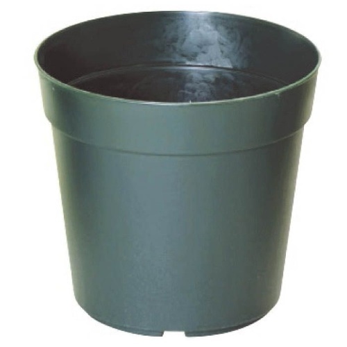 N－50 モスグリーン [1ポット]