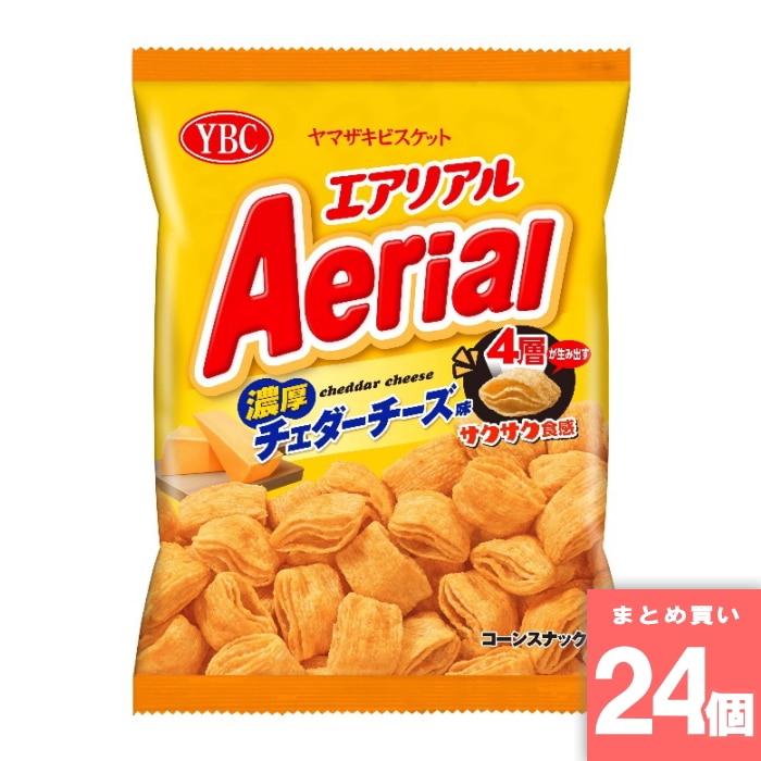 [取寄10][まとめ買い]【24個セット】エアリアル濃厚チェダーチーズ味 65g [4903015560520]