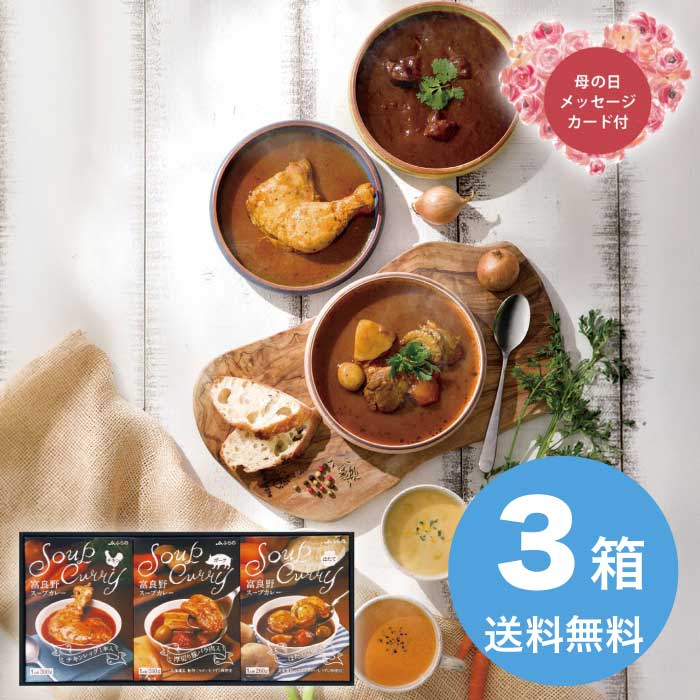 [直送商品]母の日 5/8-10お届け JAふらの 富良野スープカレーセット FSC-30 【配送指定日不可】 (1854-838)
