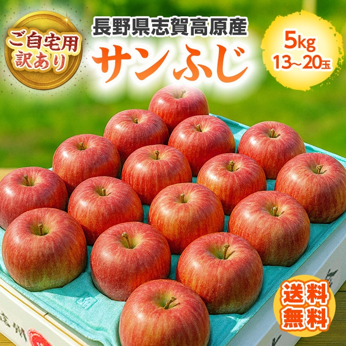 [直送商品]送料無料 長野県志賀高原産 サンふじりんご 自家用 5kg 13～20玉 【配送指定日不可】