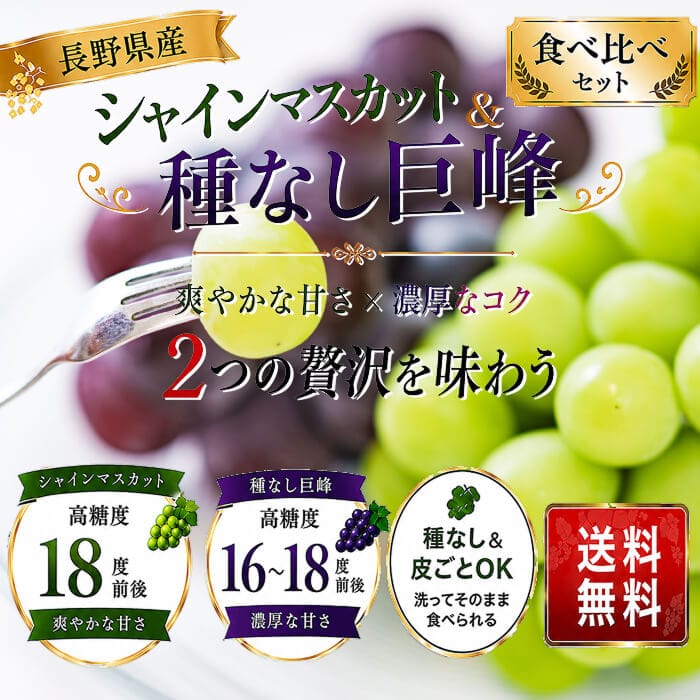 [予約直送]長野県産 シャインマスカット 種無し巨峰ぶどう 各1房 詰め合わせセット 送料無料 【綿半お中元】【7月後半～8月中旬順次発送】【配送指定日不可】
