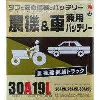 丸得バッテリー 30A19L 白(ホワイト)