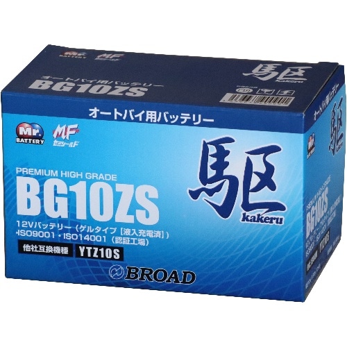 BG10ZS 青(ブルー)
