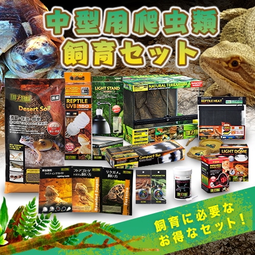 [セット品]GEX(ジェックス) エキゾテラ グラステラリウム 中型用爬虫類飼育セット 15点＋飼育小冊子付