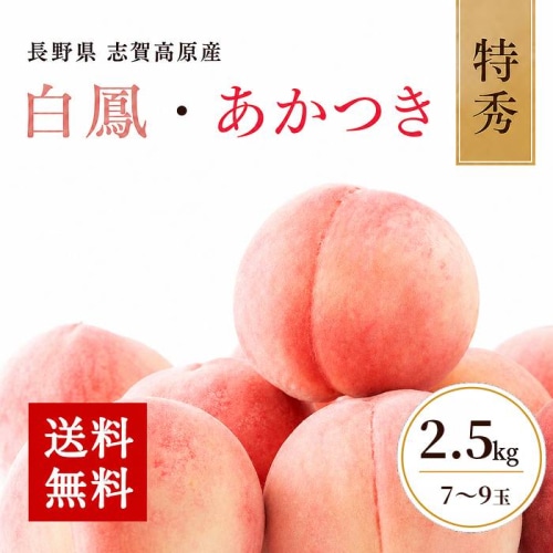 [予約直送]長野県 志賀高原産 もも 特秀 7～9玉 約2.5kg 送料無料 【綿半お中元】【7月後半～8月中旬順次発送】【配送指定日不可】