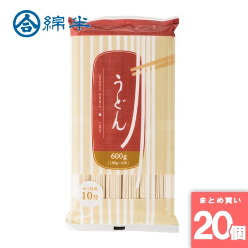 [取寄10][まとめ買い]【20個セット】うどん 600g [4589458499698]