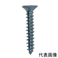 CP ユニクロ タッピング 皿 5.0×25 4P