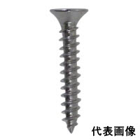 CP ステンレス タッピング皿3.0×10 6P