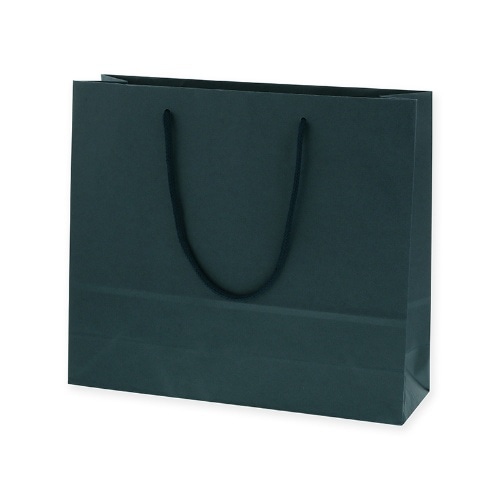 カラー手提袋 3才 コン [1枚]