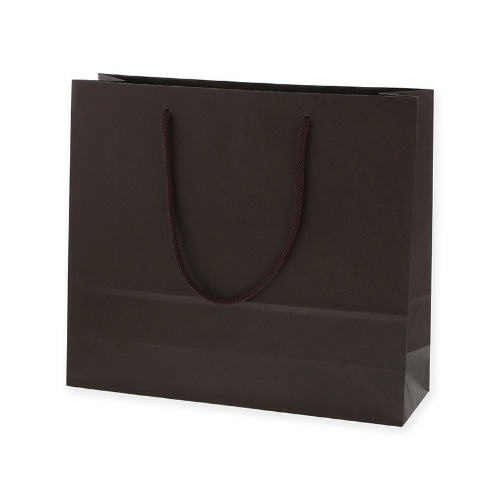 カラー手提袋 3才 ブラウン [1枚]