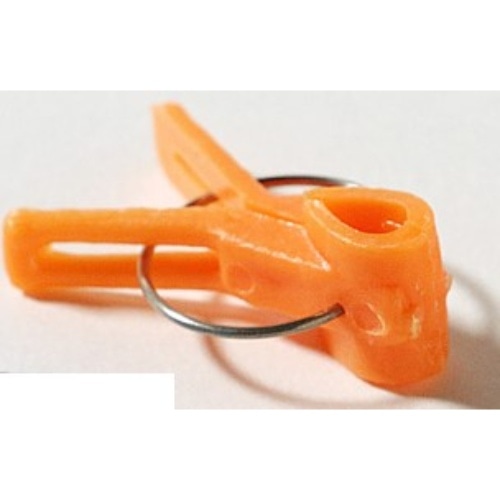 接木フレンド うり用10P